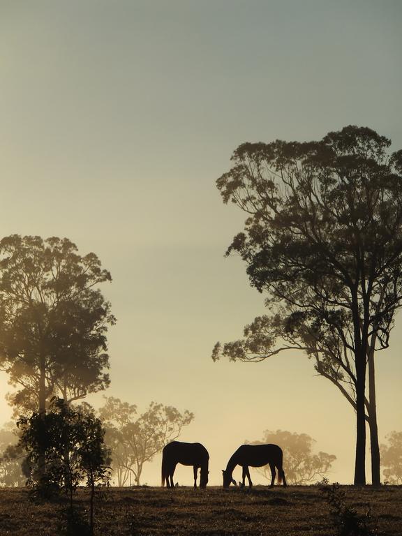 Susan River Homestead Hervey Bay Bagian luar foto